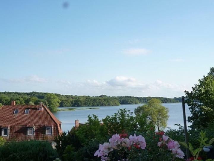 Ferienwohnung Sielbeck, Urlaub Mit Hund, Wlan Verfuegbar Eutin Eksteriør bilde